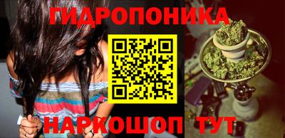 гашик Мариинск