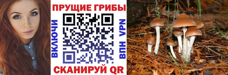 Галлюциногенные грибы GOLDEN TEACHER  МЕГА tor  Джанкой 