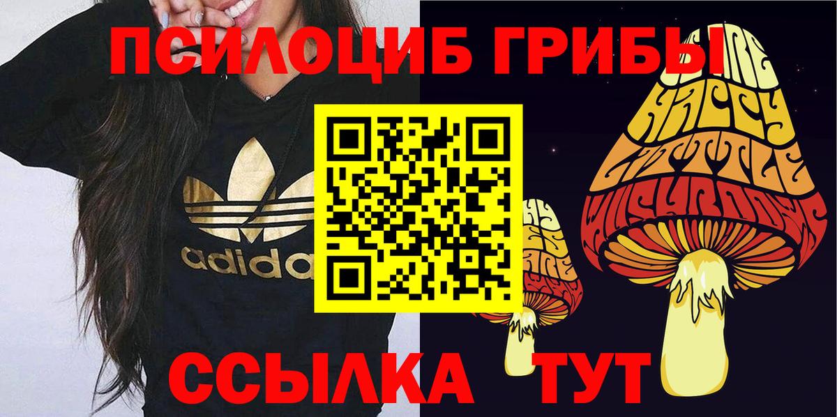 Галлюциногенные грибы MAGIC MUSHROOMS Джанкой