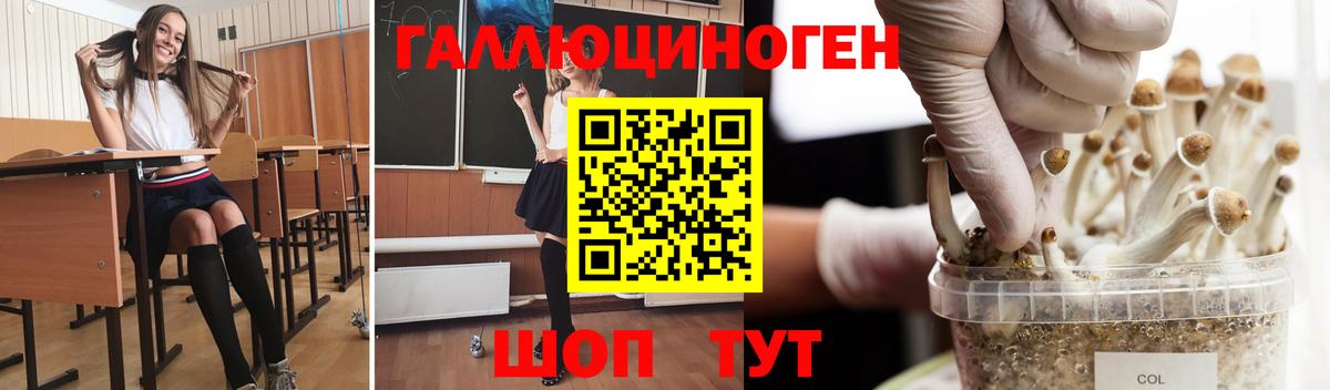 Джанкой  Псилоцибиновые грибы прущие грибы  Вход с VPN 